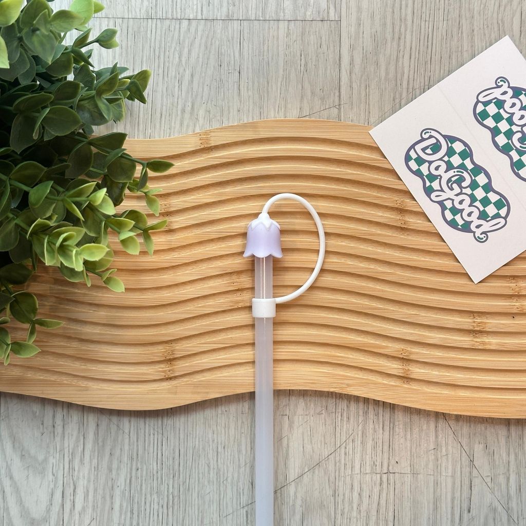 image_75587A0D-12D0-4735-97EF-F8DF56BF0DBD_1767593733