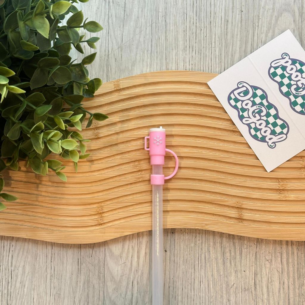 WhatsApp Image 2026-01-05 at 2.28.47 PM