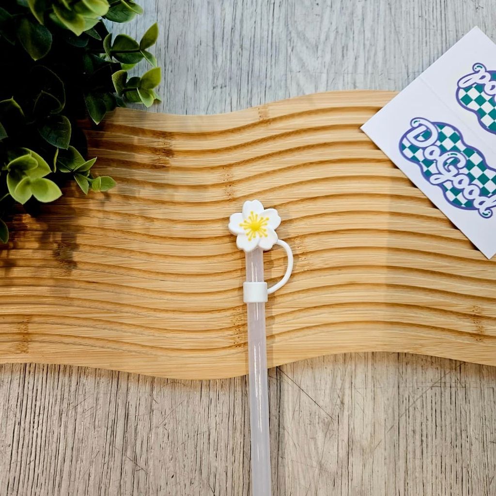 WhatsApp Image 2026-01-05 at 3.48.13 PM (1)