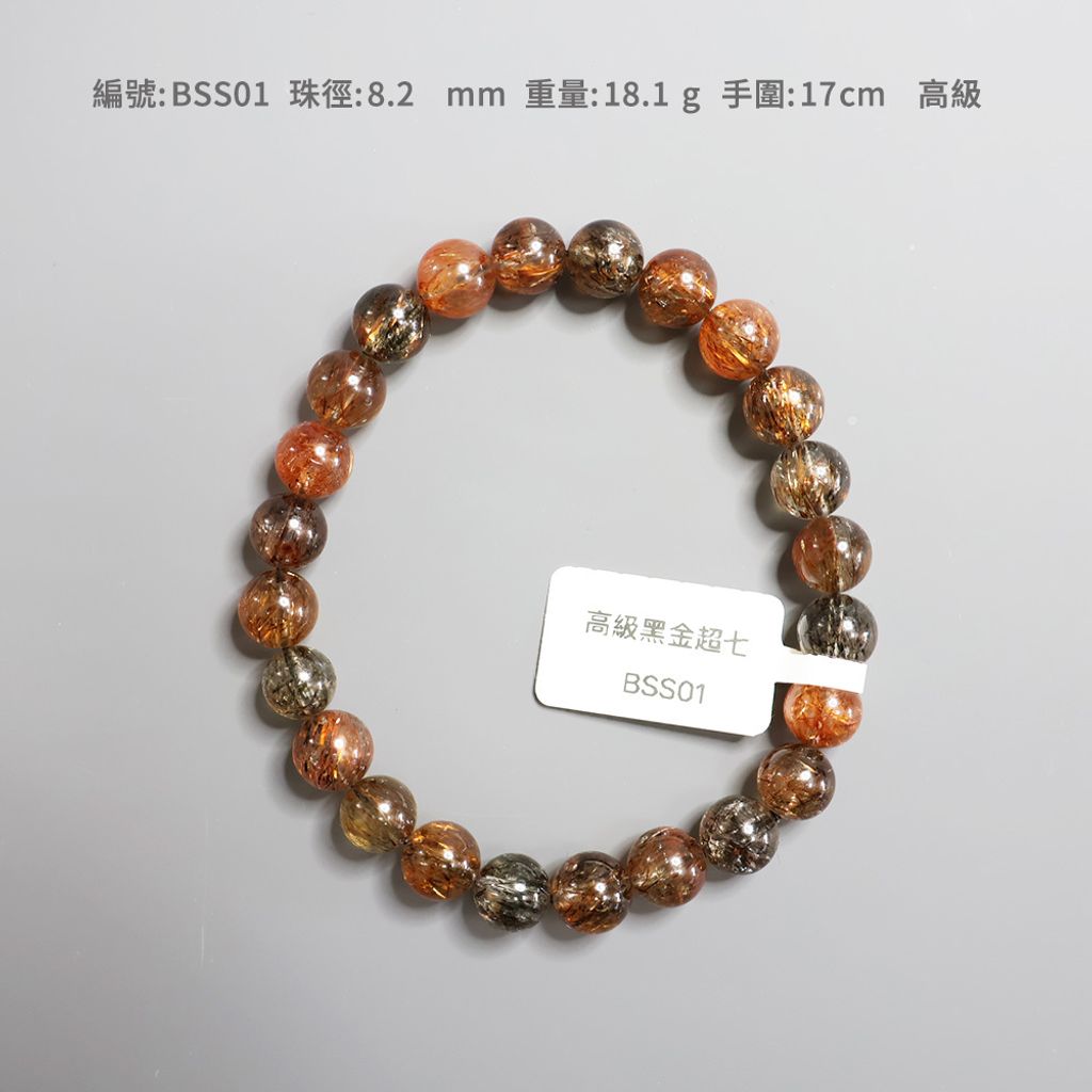 BSS01