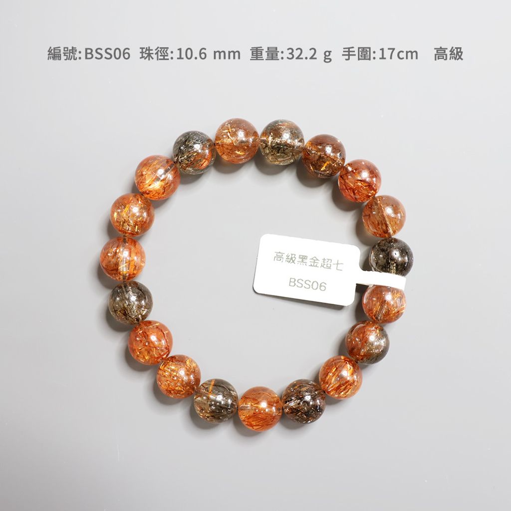 BSS06