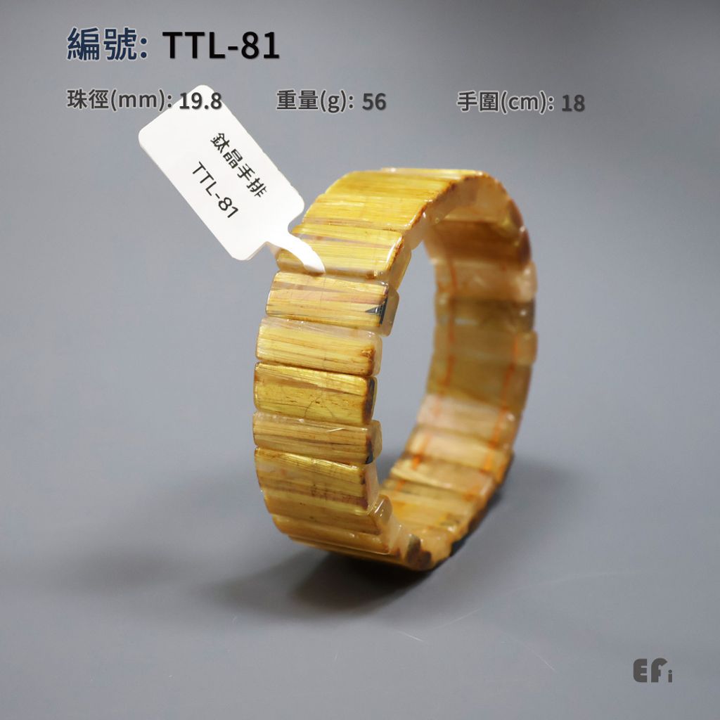 TTL-81