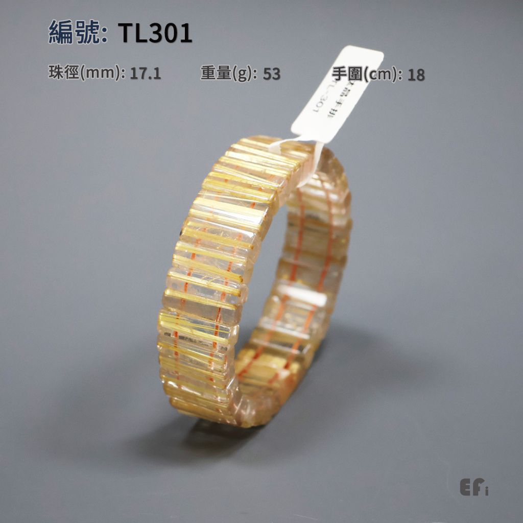 TL-301