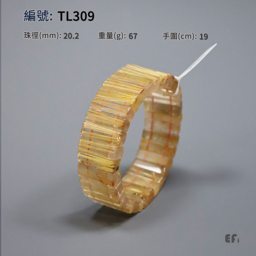 TL309