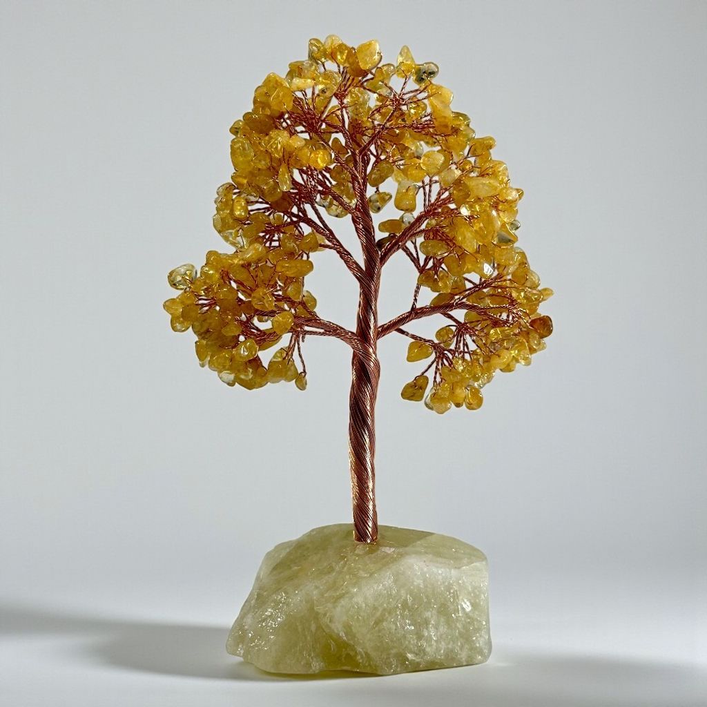 黃水晶樹(實拍)-Photoroom