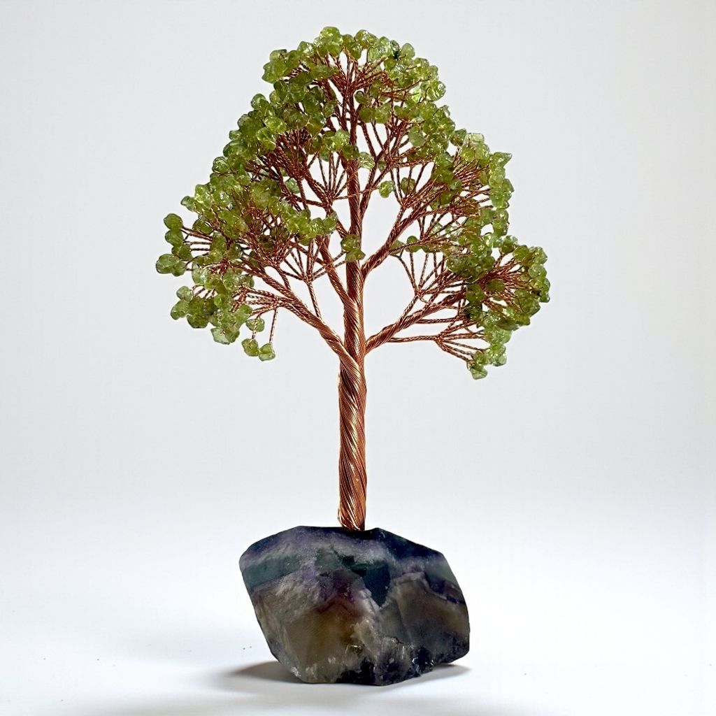 橄欖石樹(實拍)-Photoroom