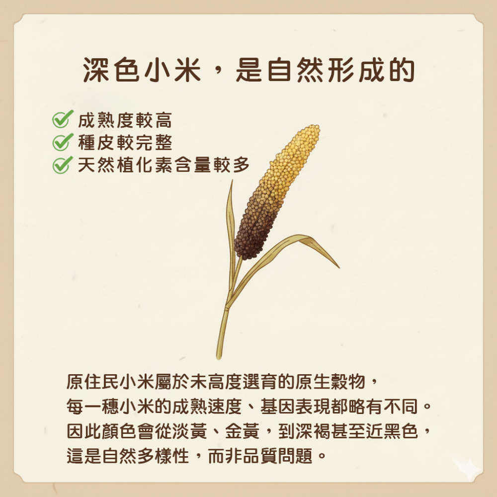 可樂穀 小米 說明01
