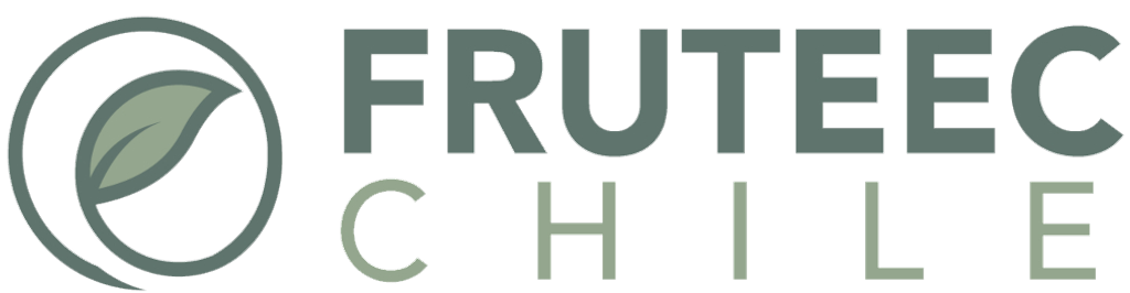 logo_verde3