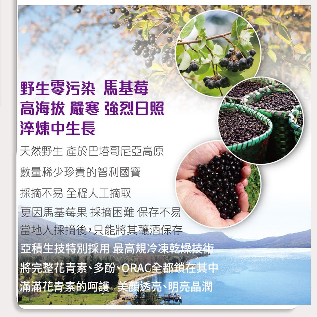 YC0106
