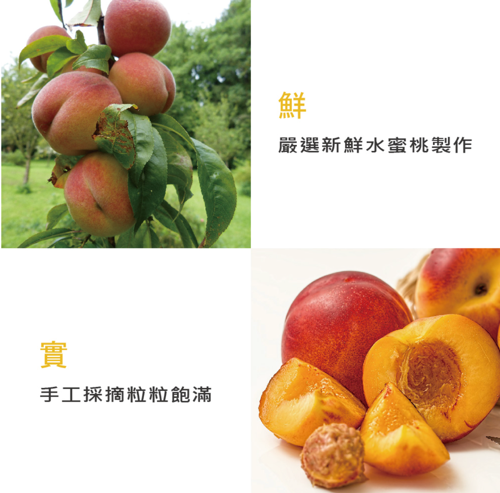 截圖 2024-02-23 下午2.08.26