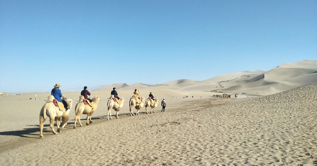 上海獨遊之旅，舊地重遊的新回憶