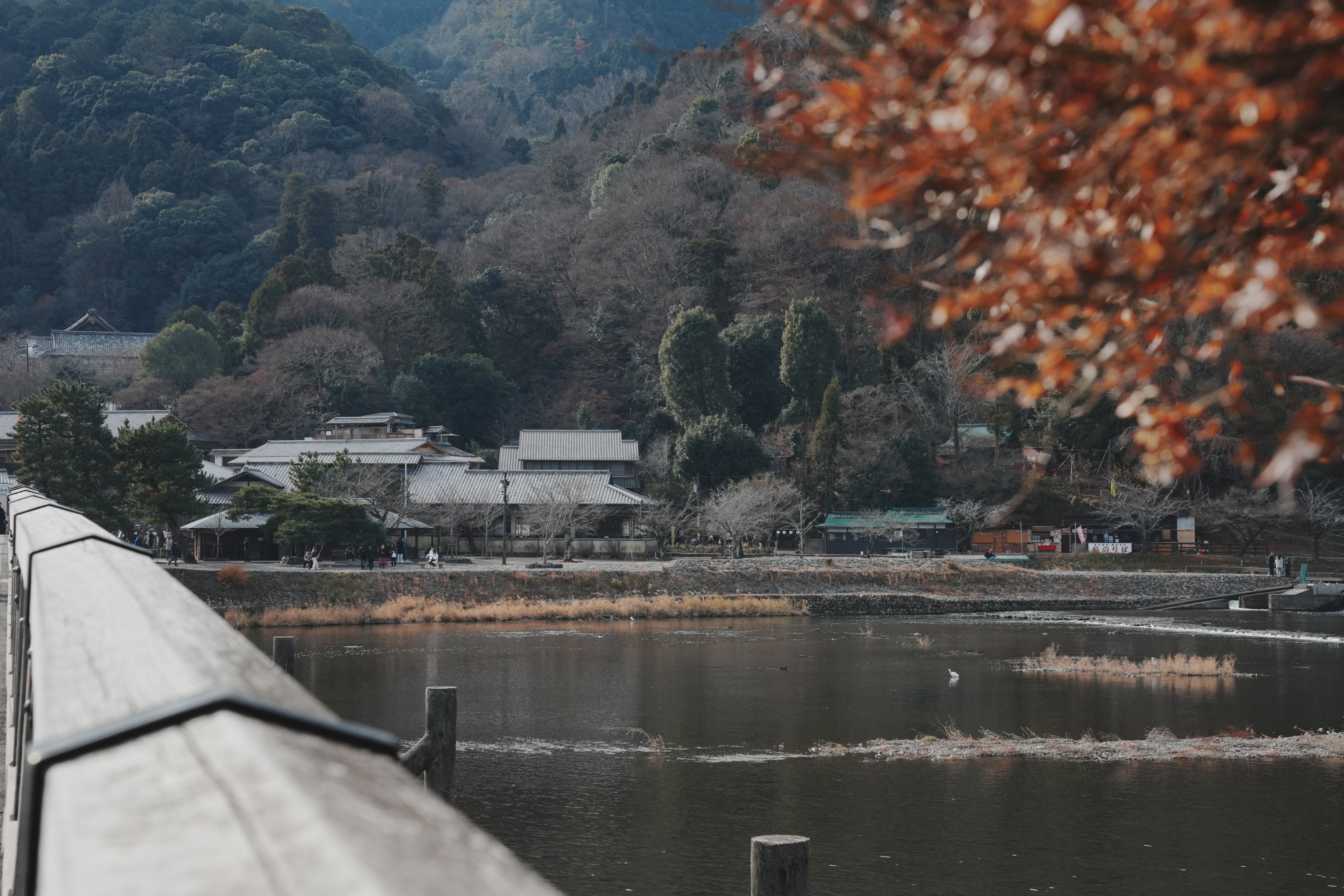 嵯峨嵐山-1