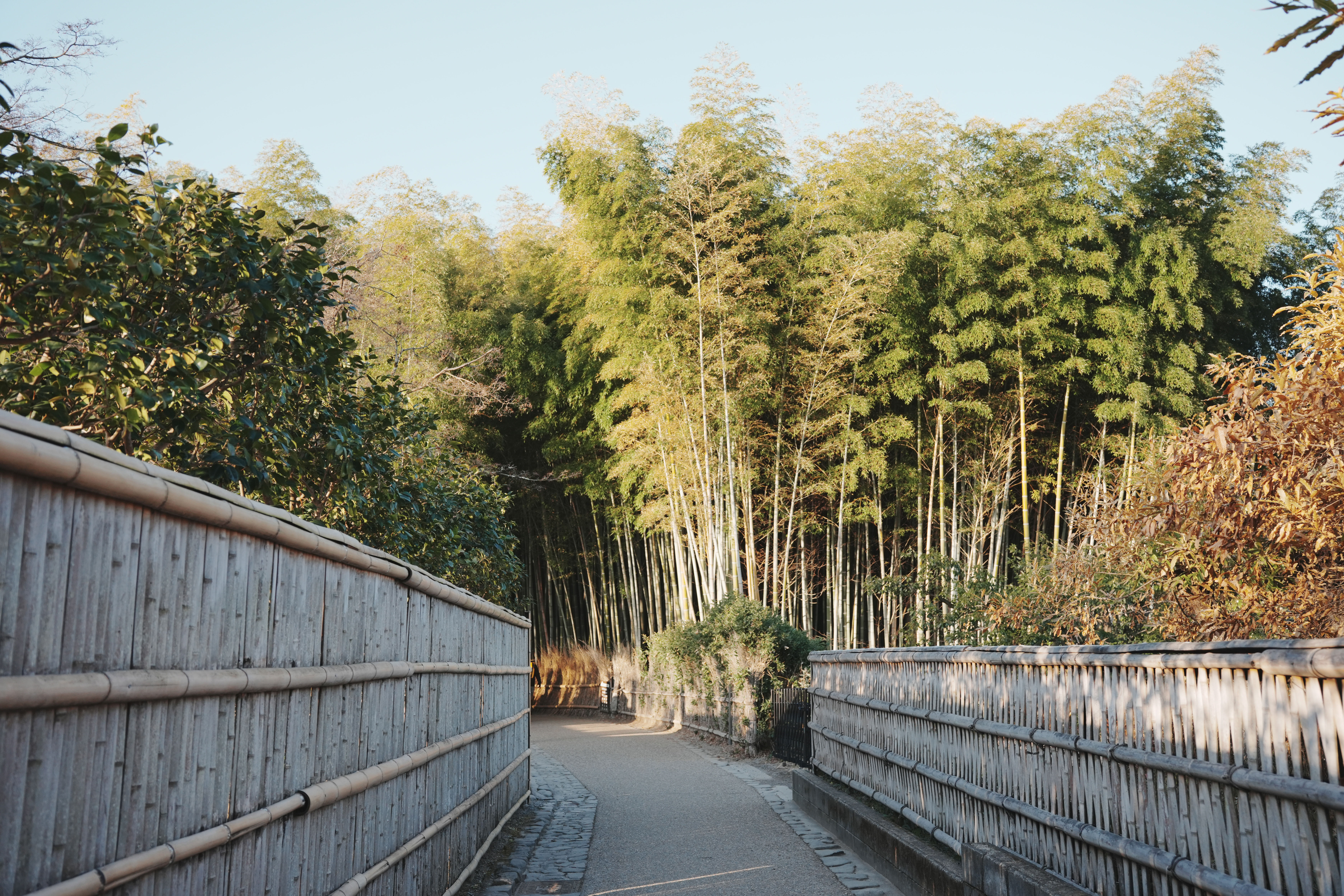 嵯峨嵐山-2