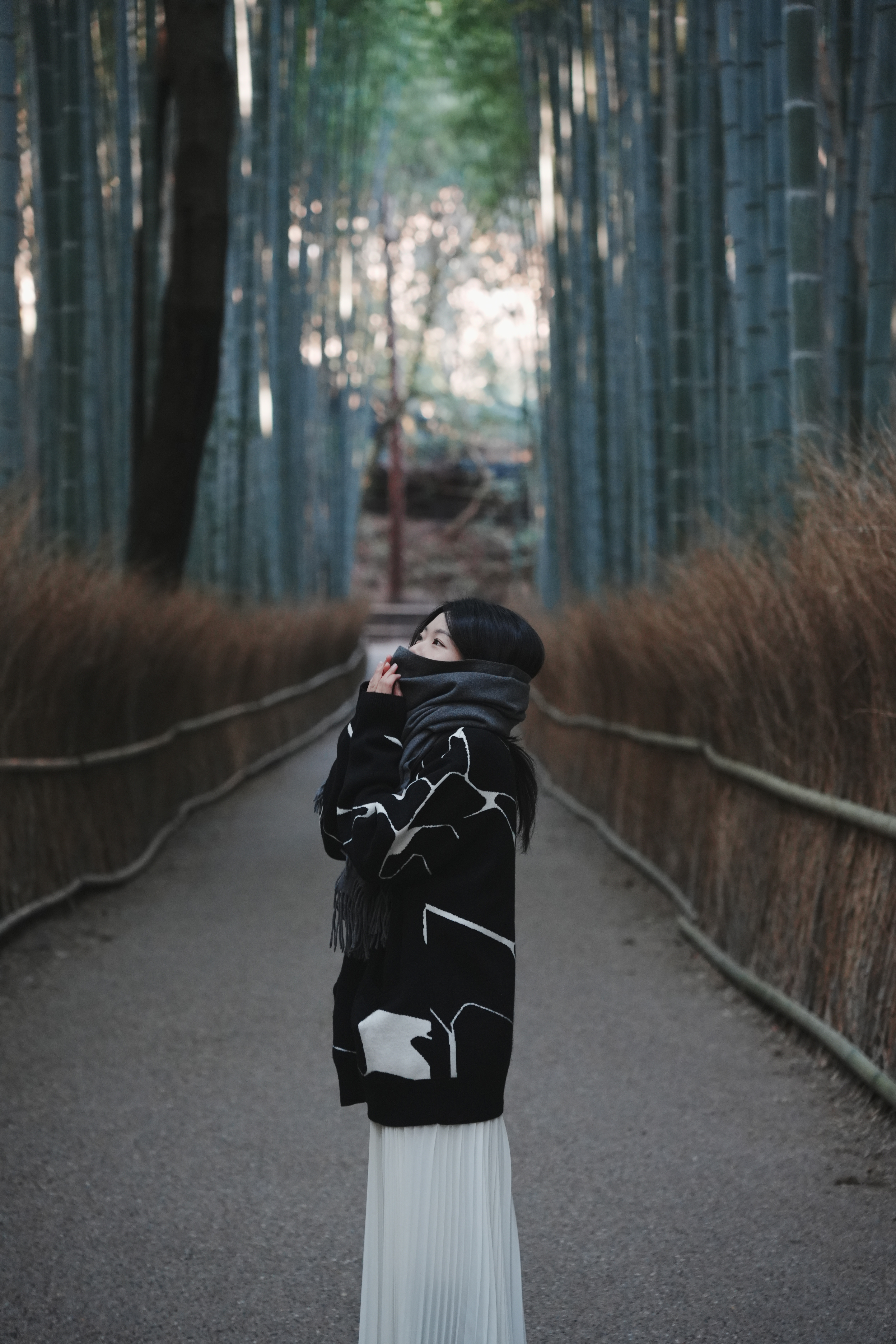 嵯峨嵐山-3