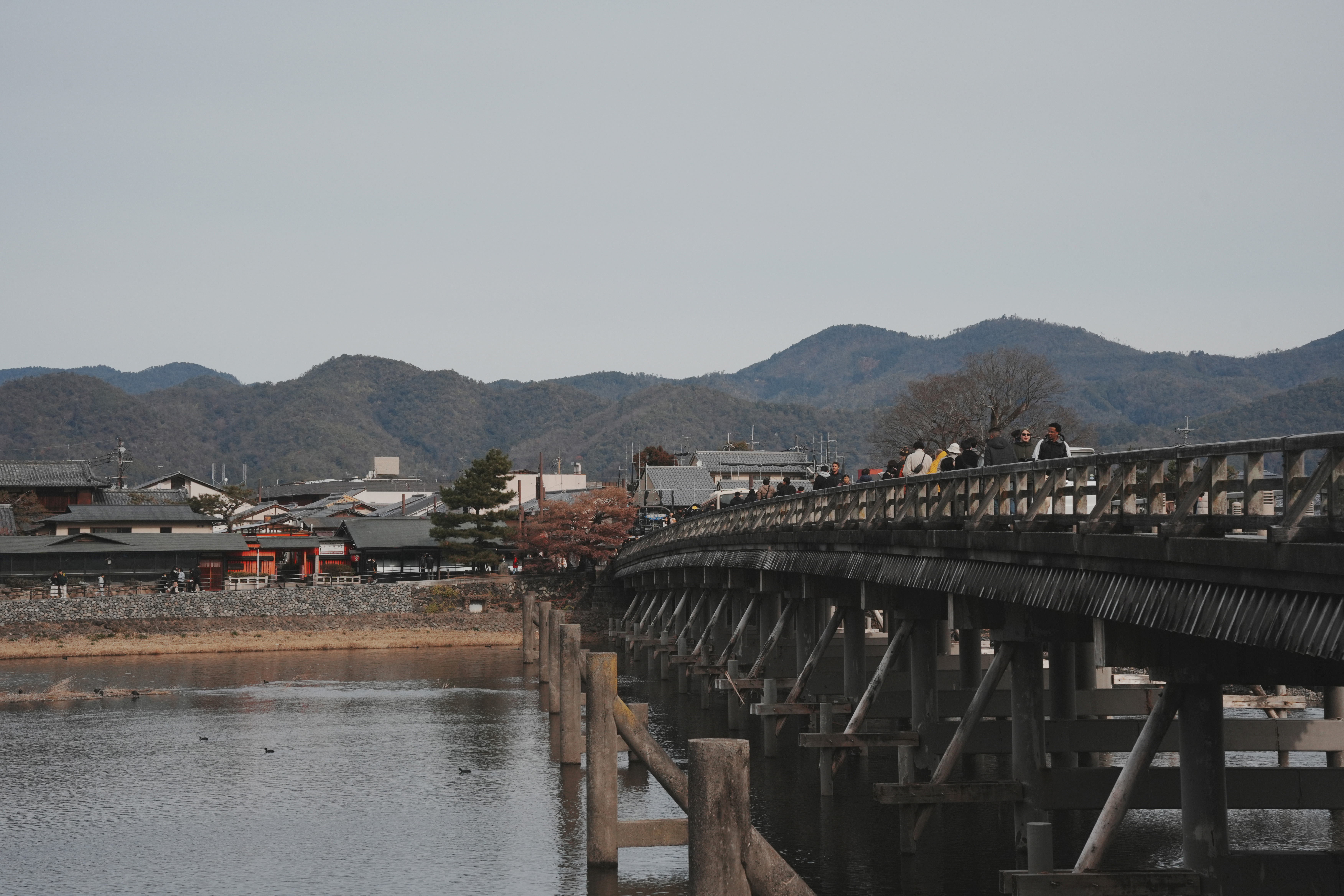 嵯峨嵐山-7