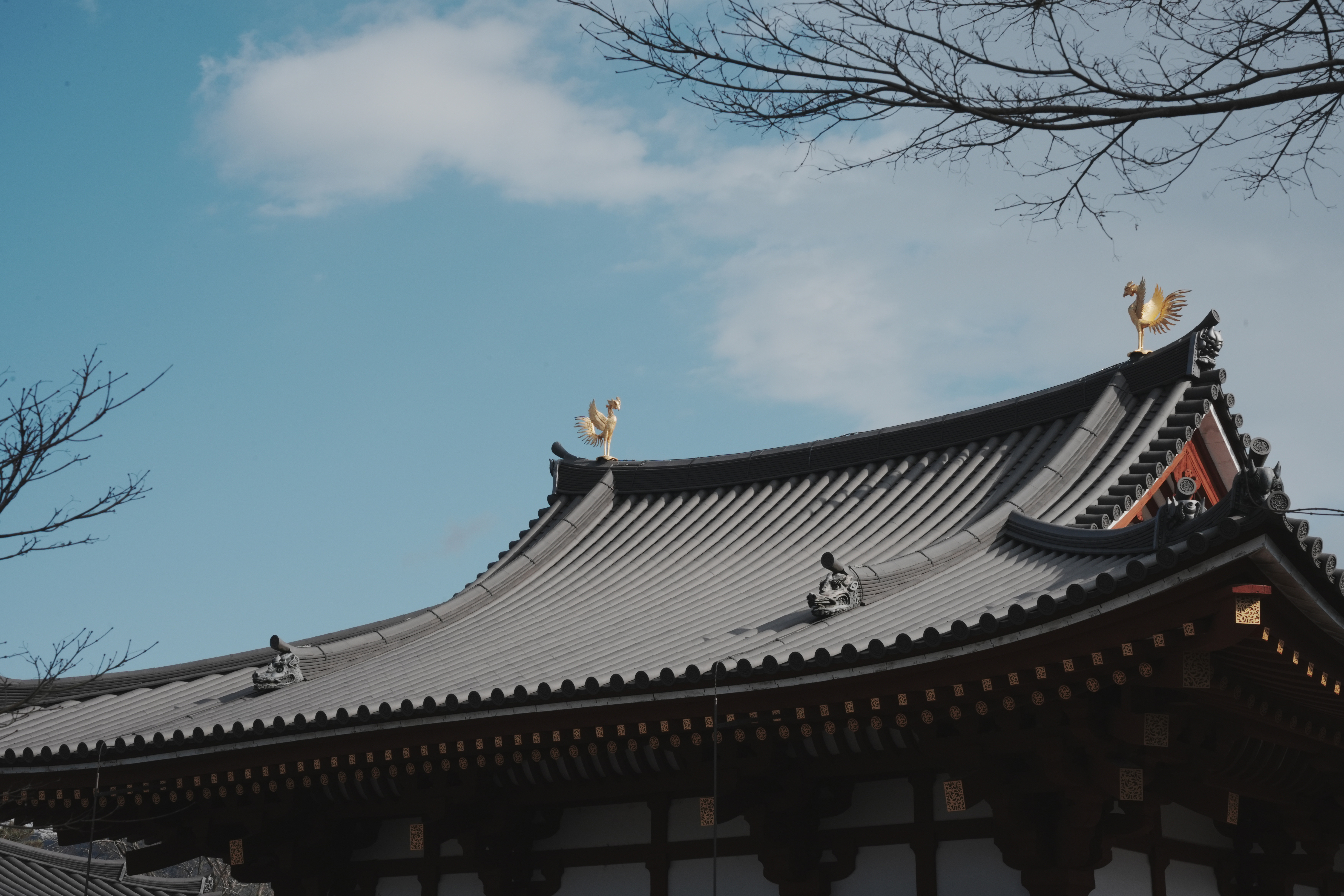 宇治平等院-3