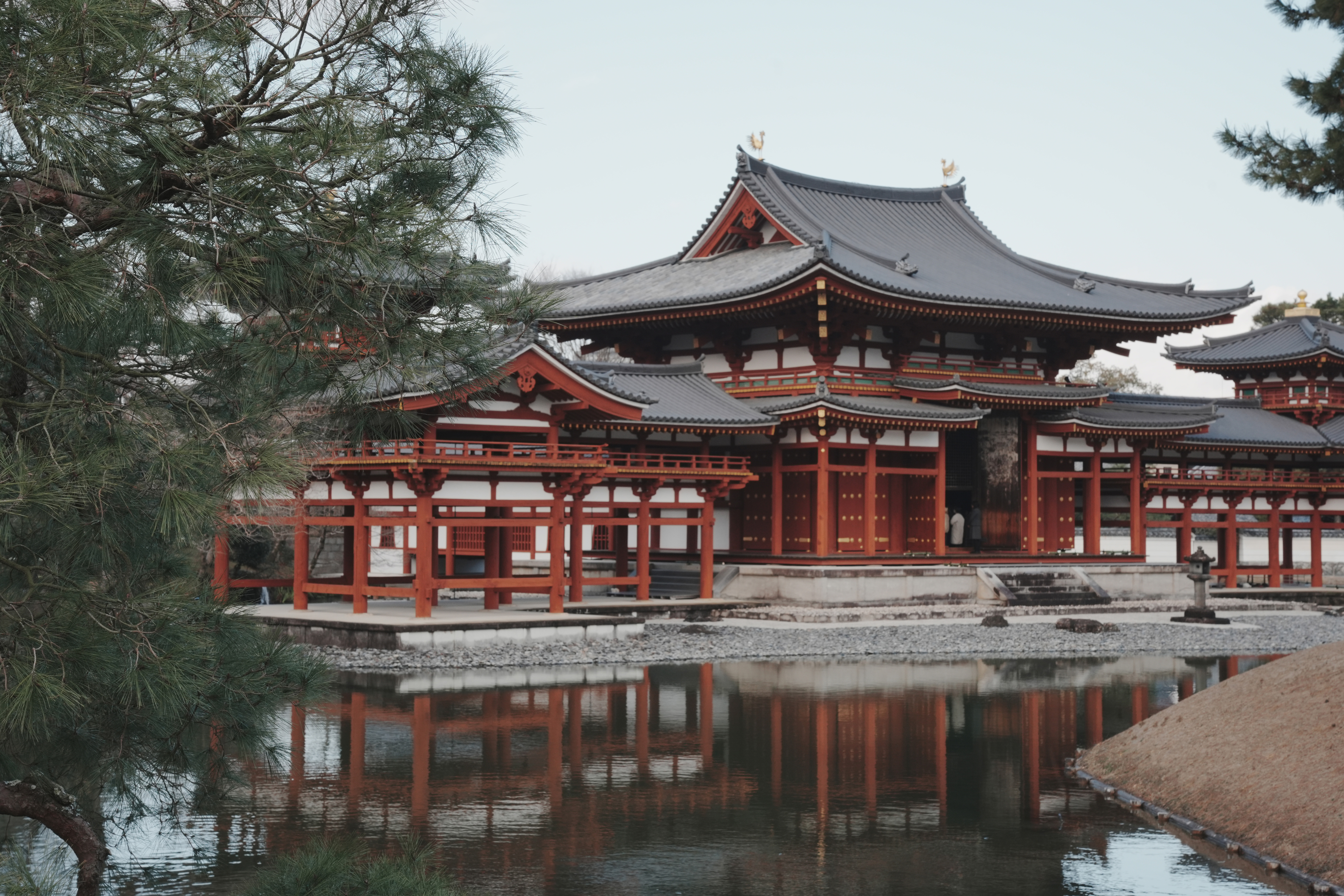 宇治平等院-5
