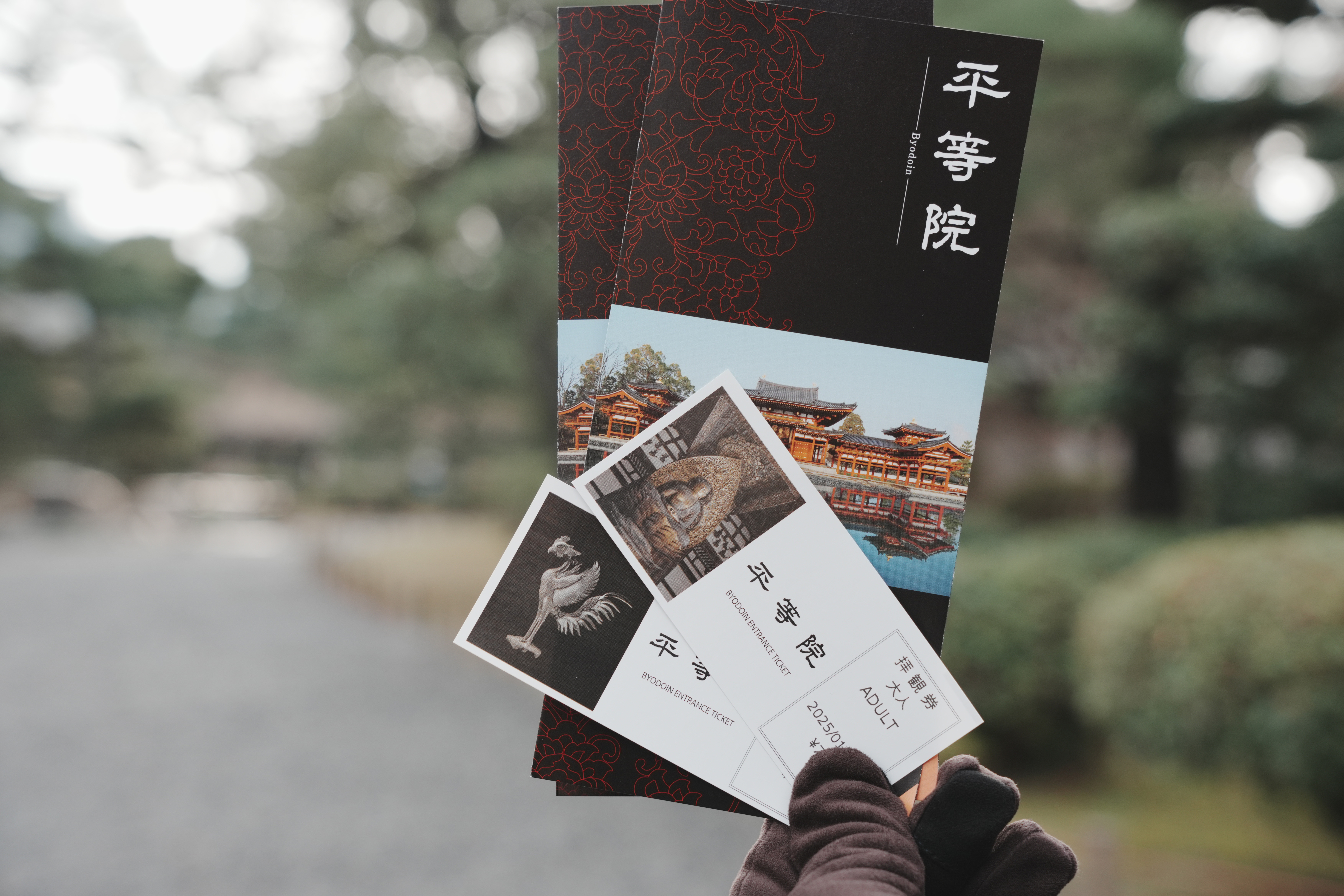 宇治平等院-8