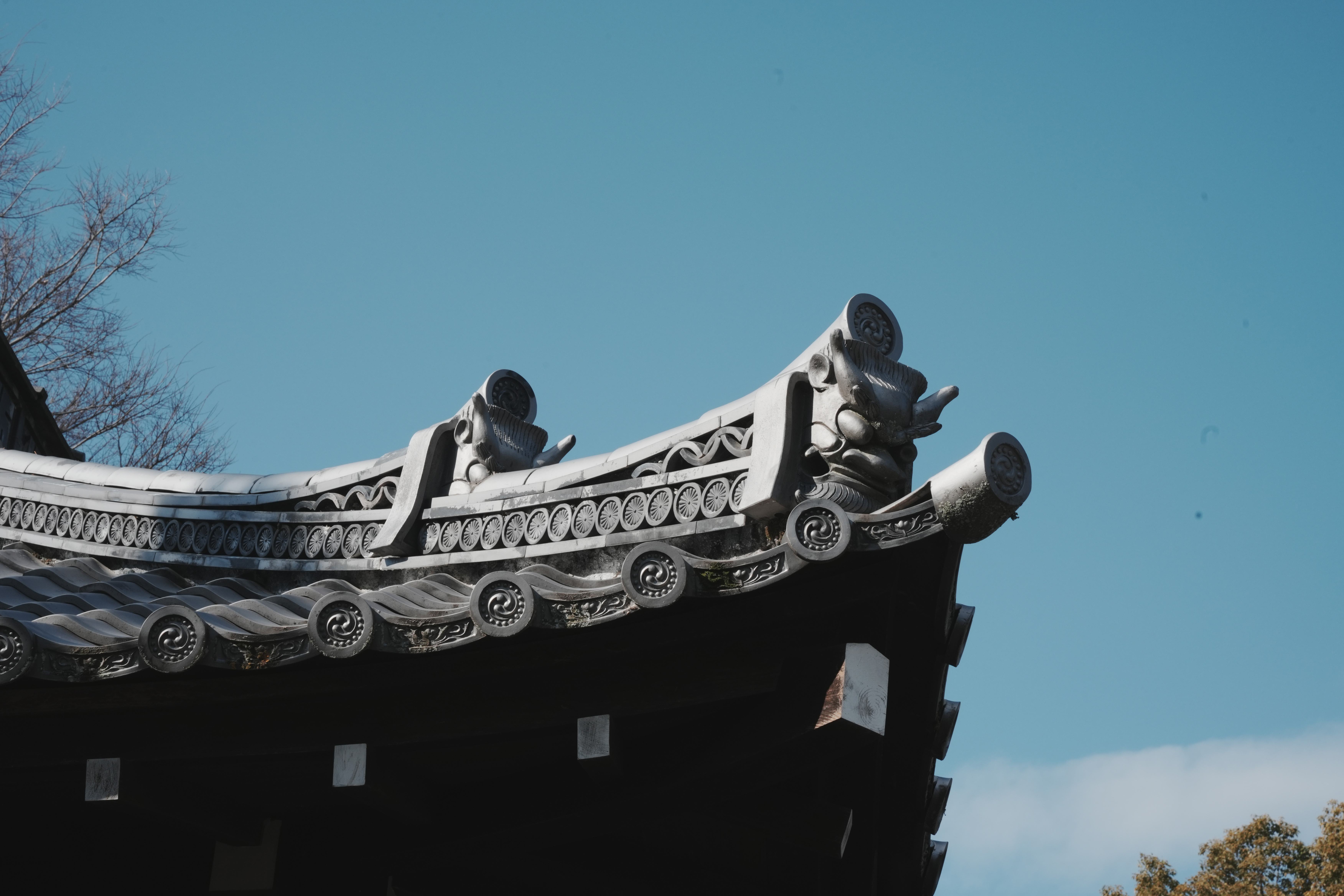 宇治平等院-10