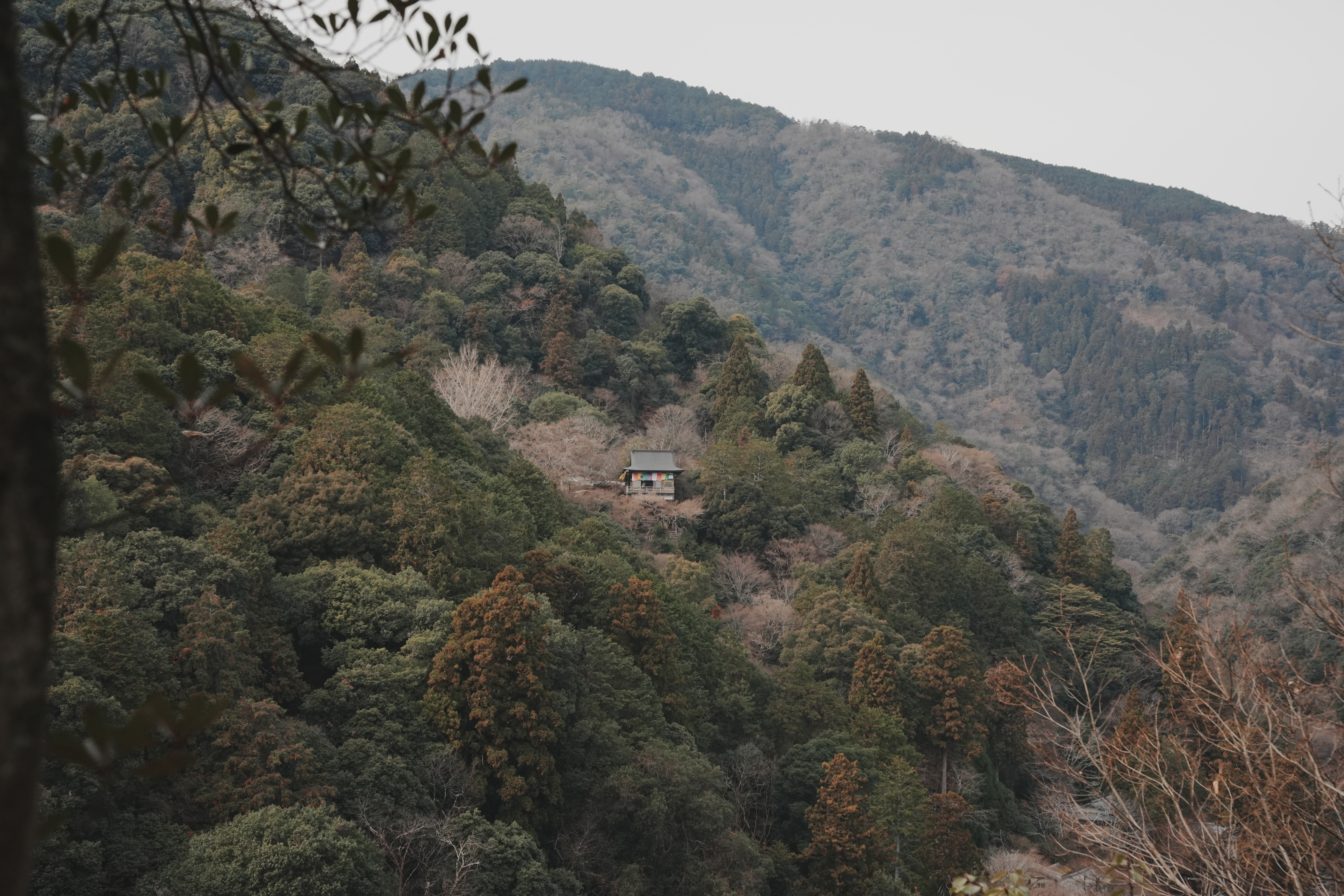 山頂展望台看到的景色01