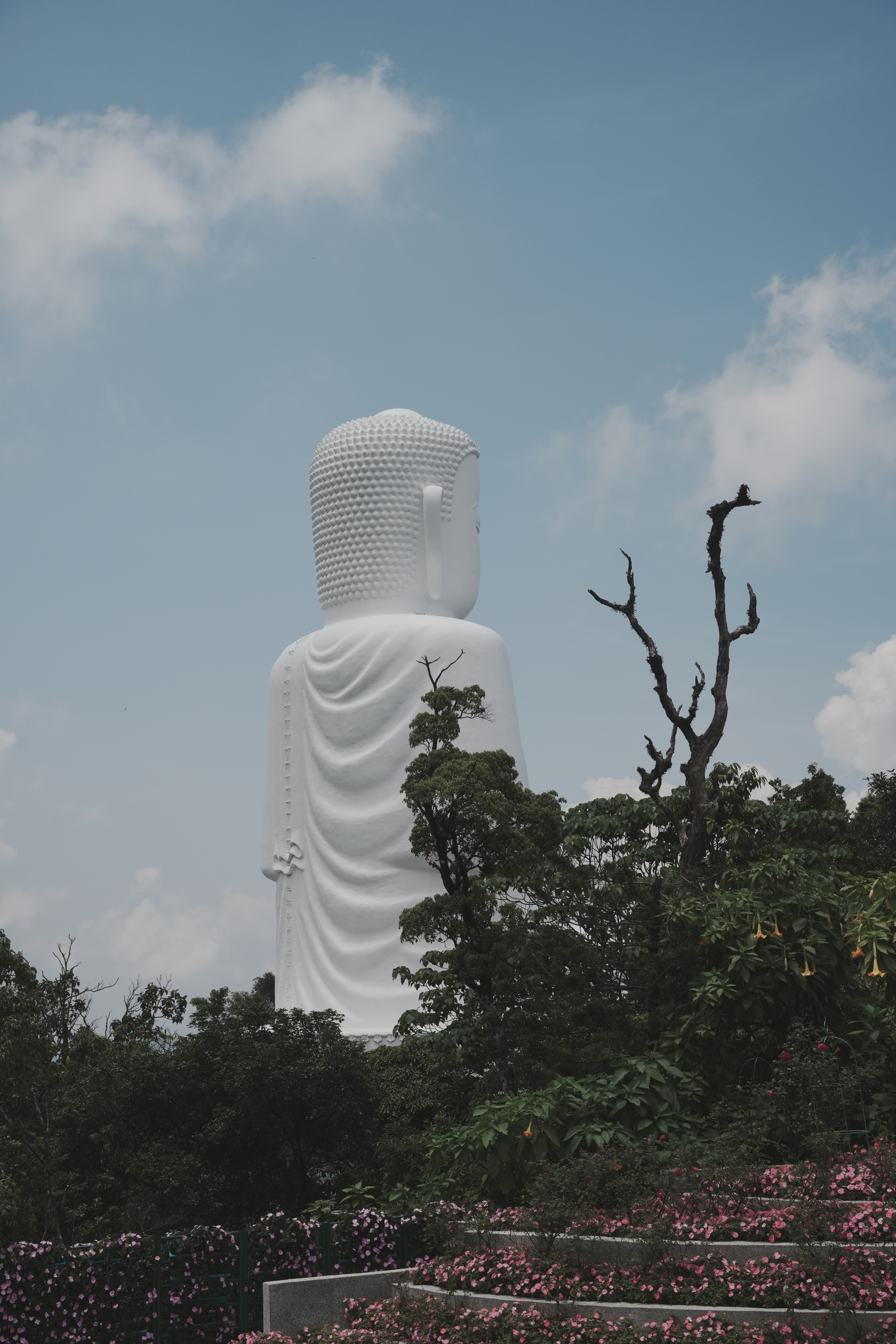 巴拿山-18