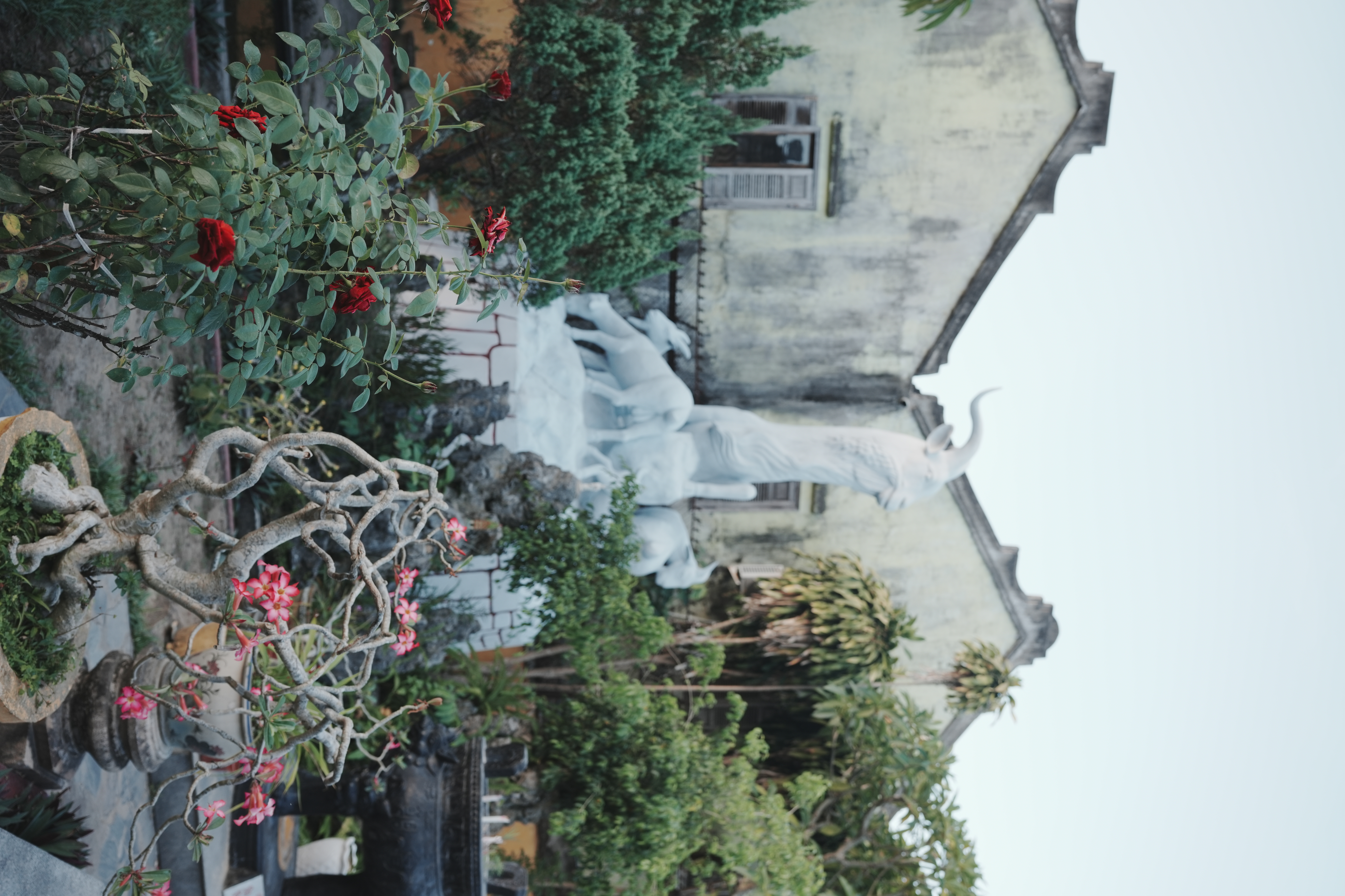 DSC01336