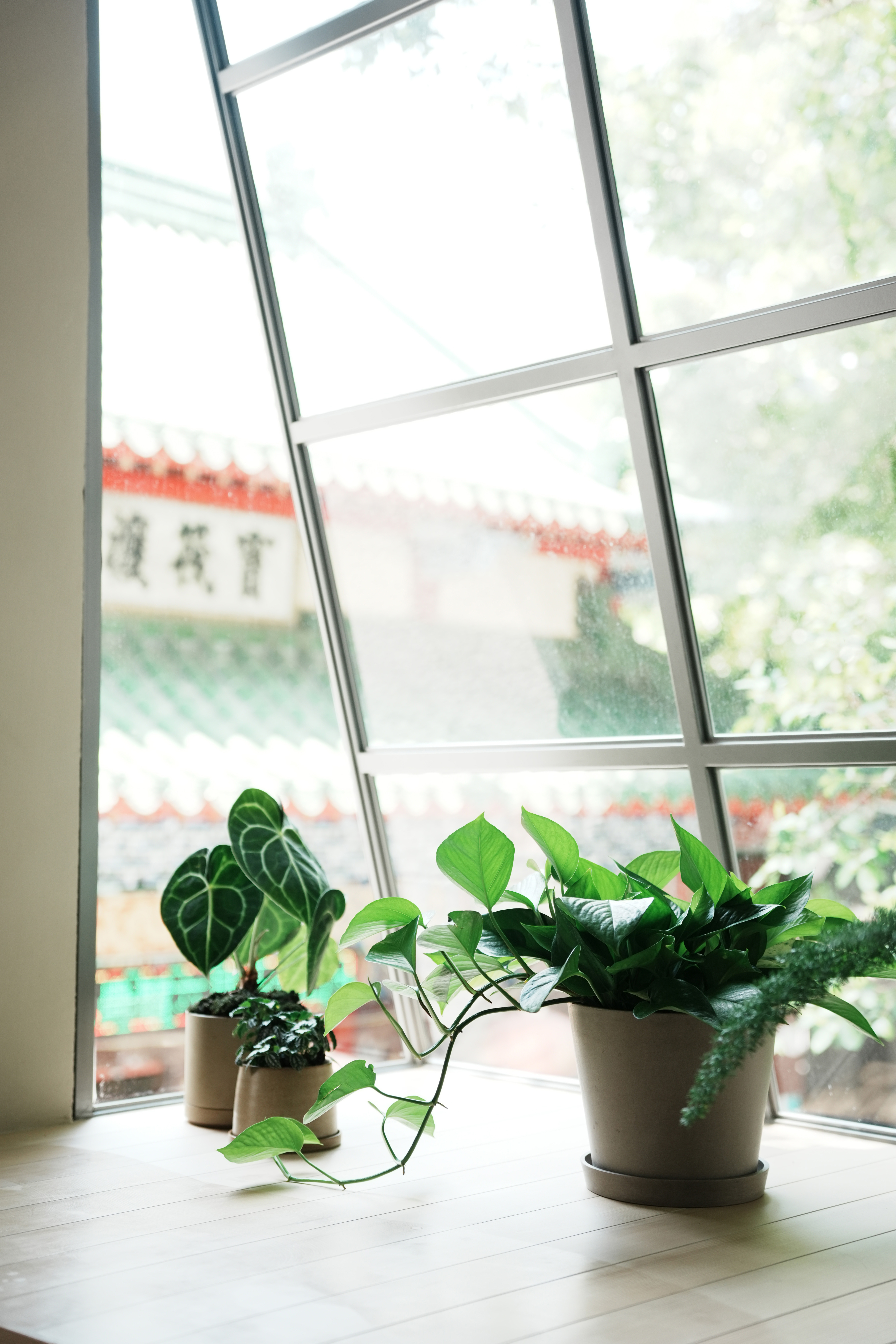 here Kyoto Tainan-23