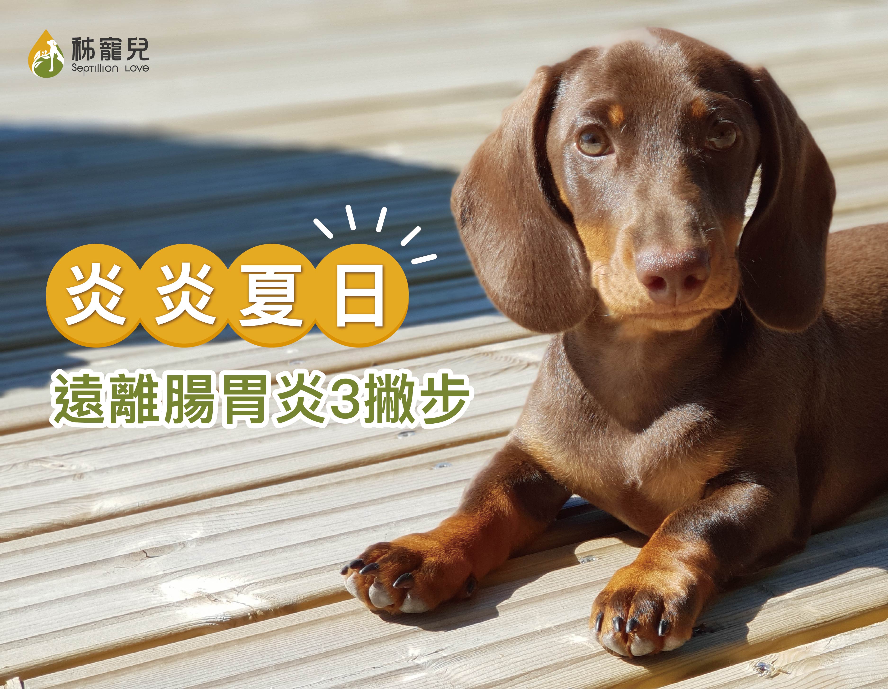 炎炎夏日 遠離腸胃炎3撇步