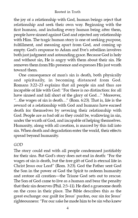 Screenshot (381)