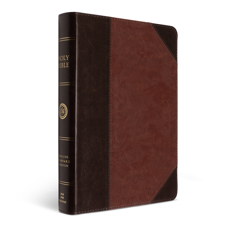 ESV Large Print Wide Margin Bible