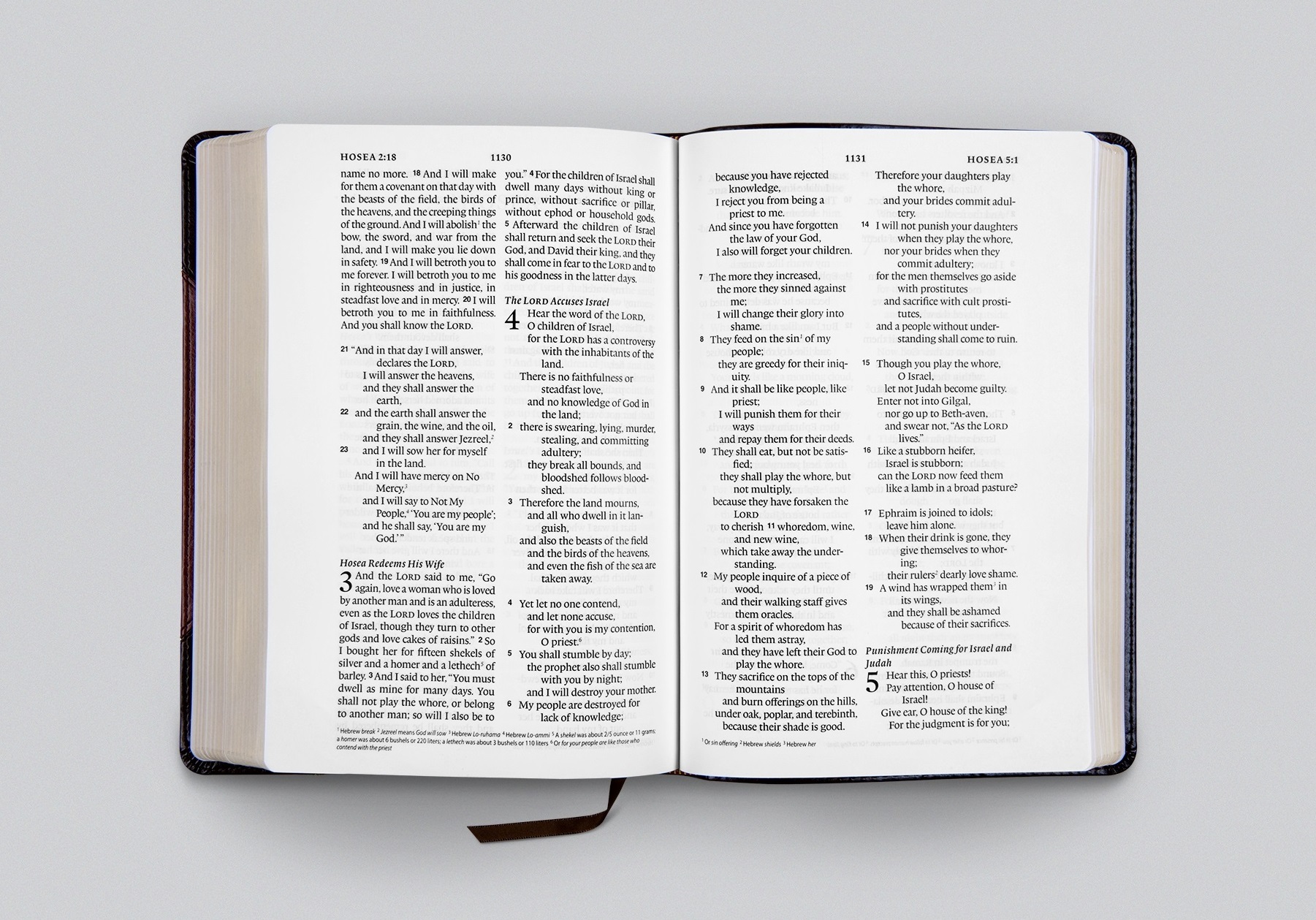 Large_Print_Wide_Margin_Bible_content page