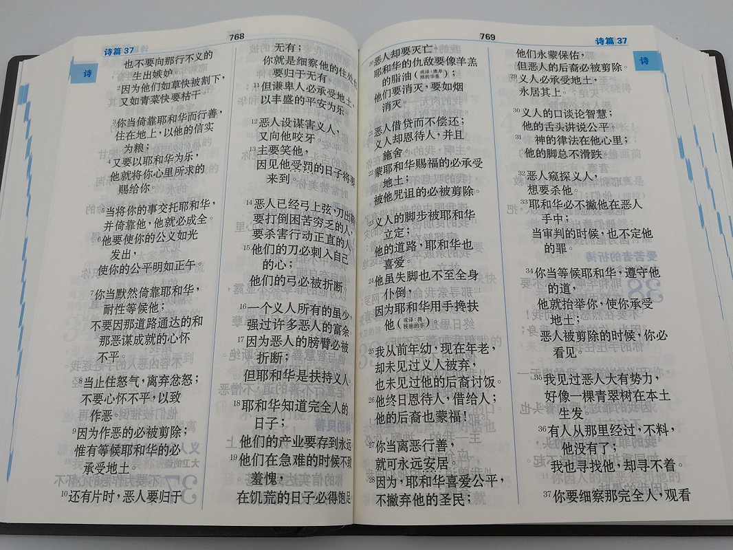 圣经特大字版内容.png