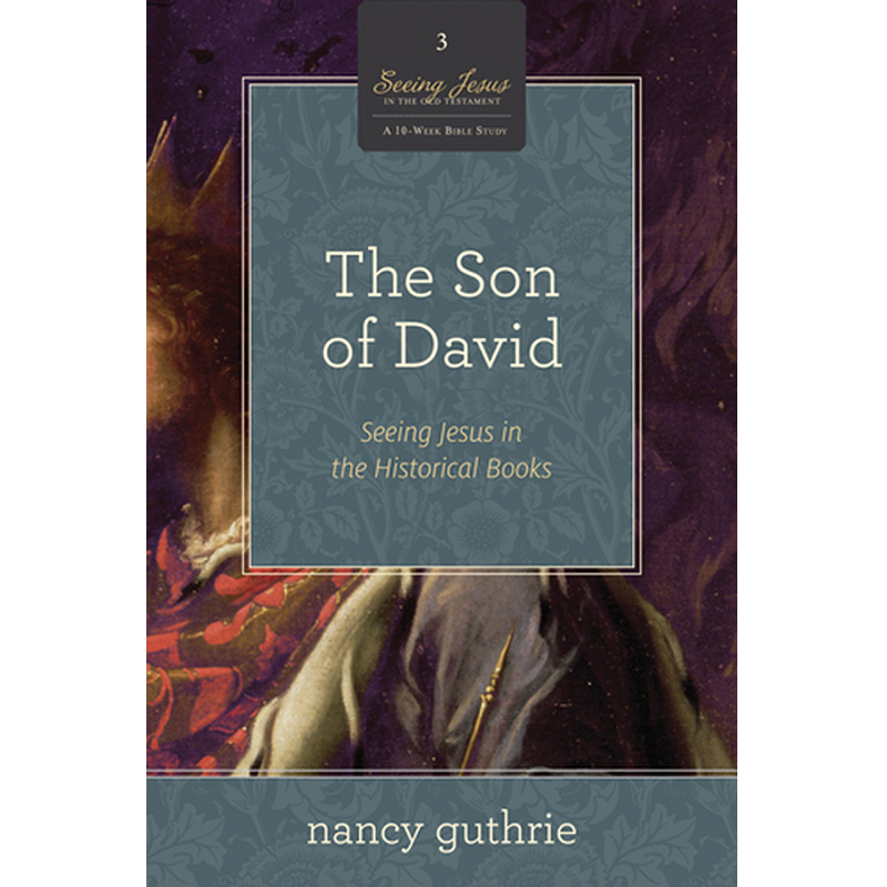 The Son of David-Seeing Jesus in the Historical Books.png
