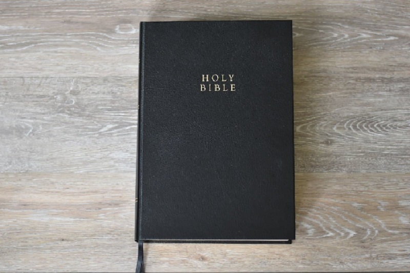 KJV Study Bible