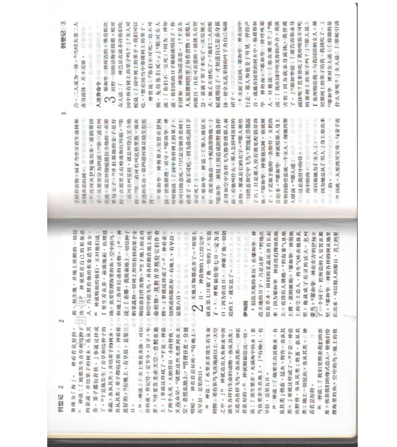 Scan10002