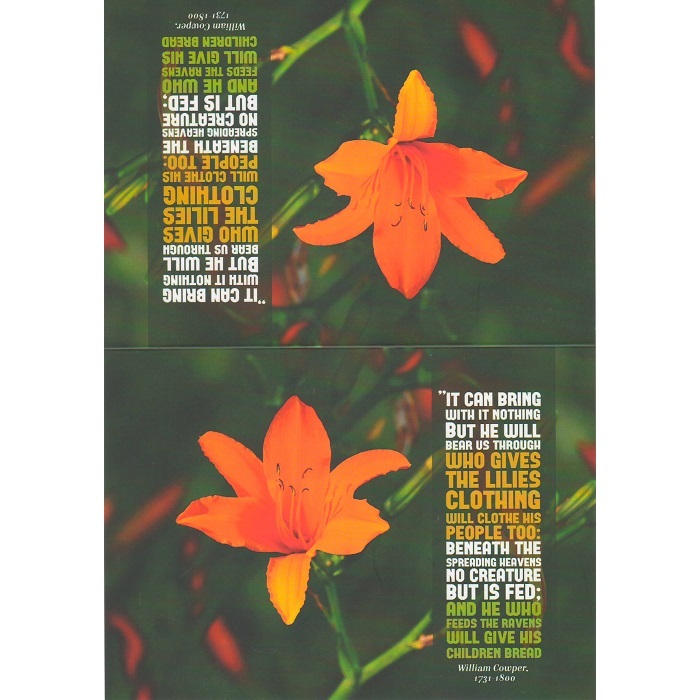 Scan10007