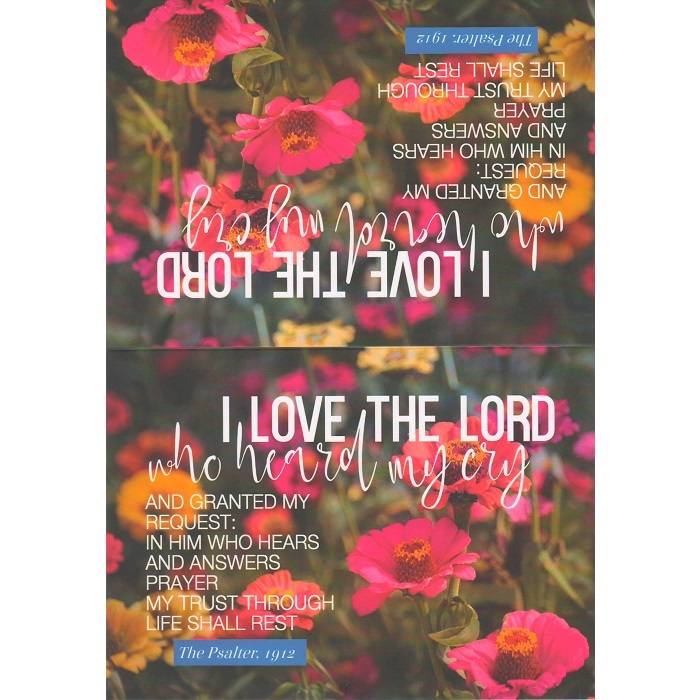 Scan10008