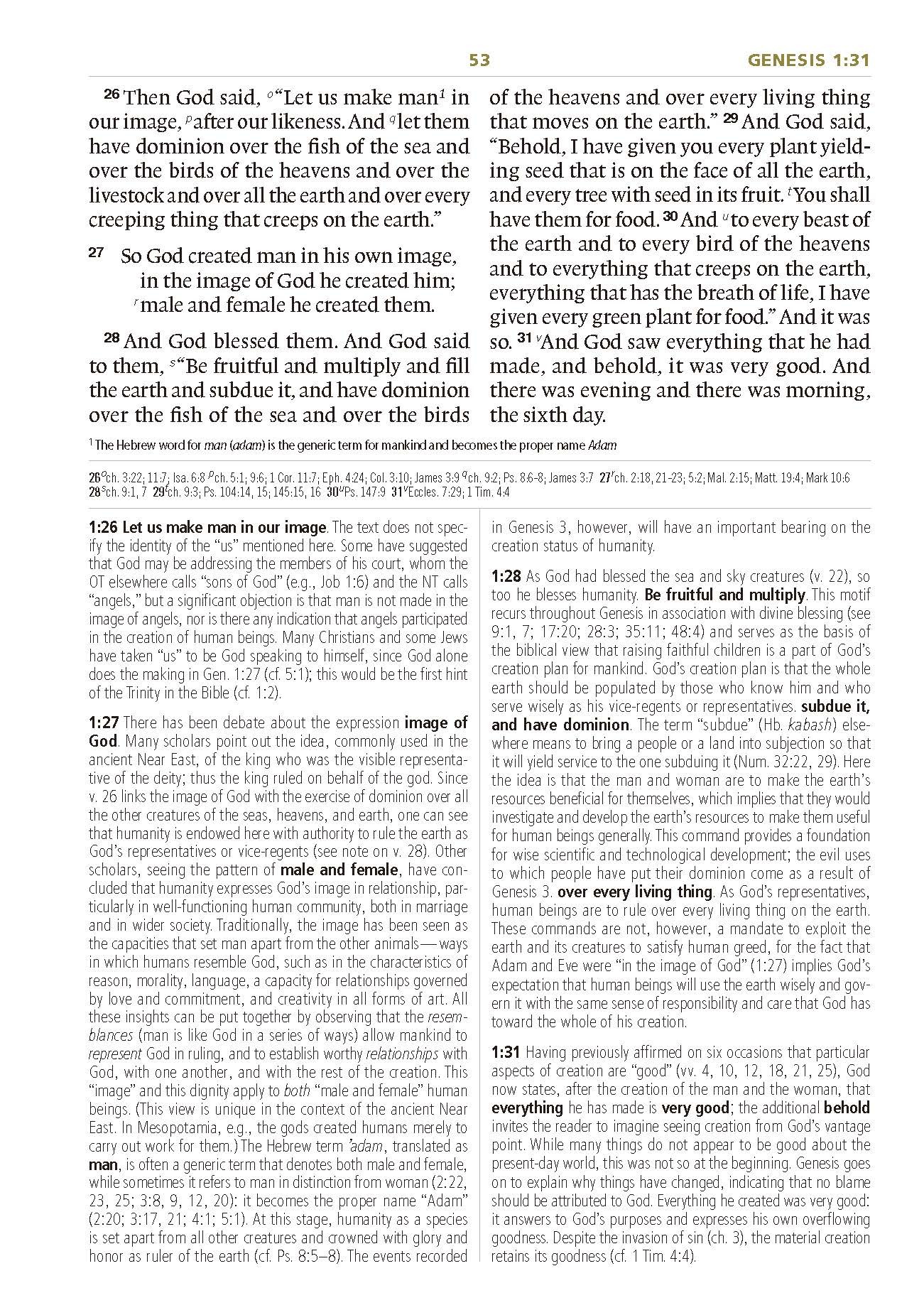 study-bible-large-print_Page_04