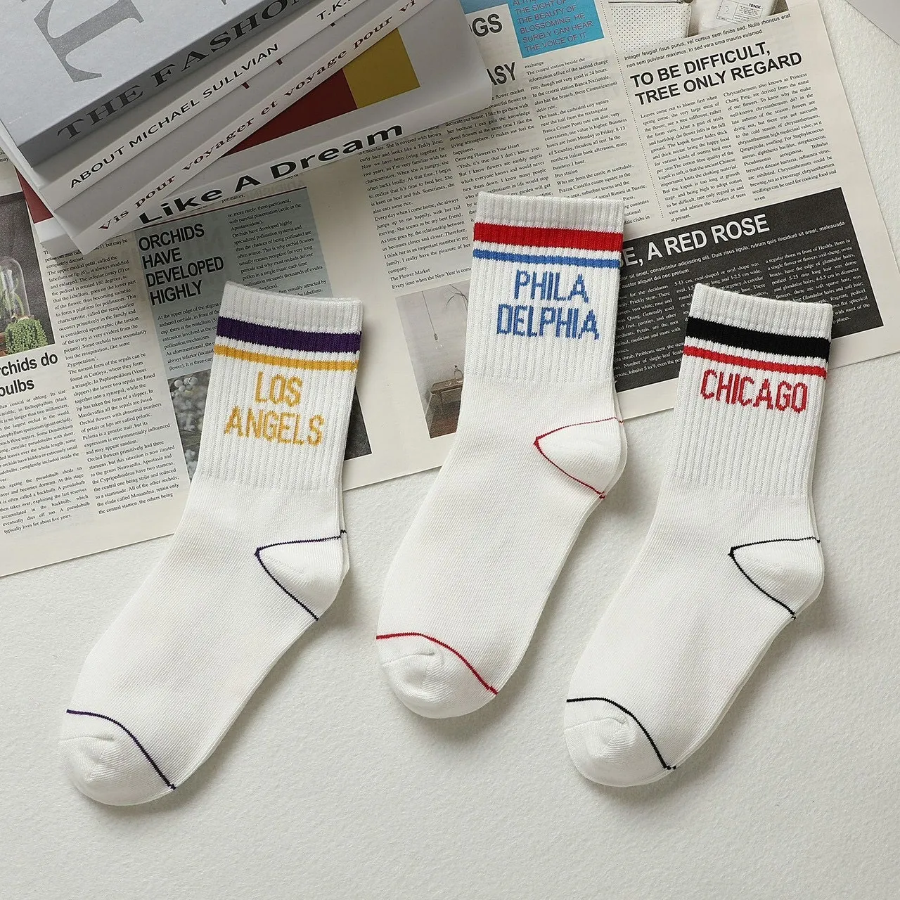 image_34C47512-B622-4152-A95E-D652C12F23EC_1763121706