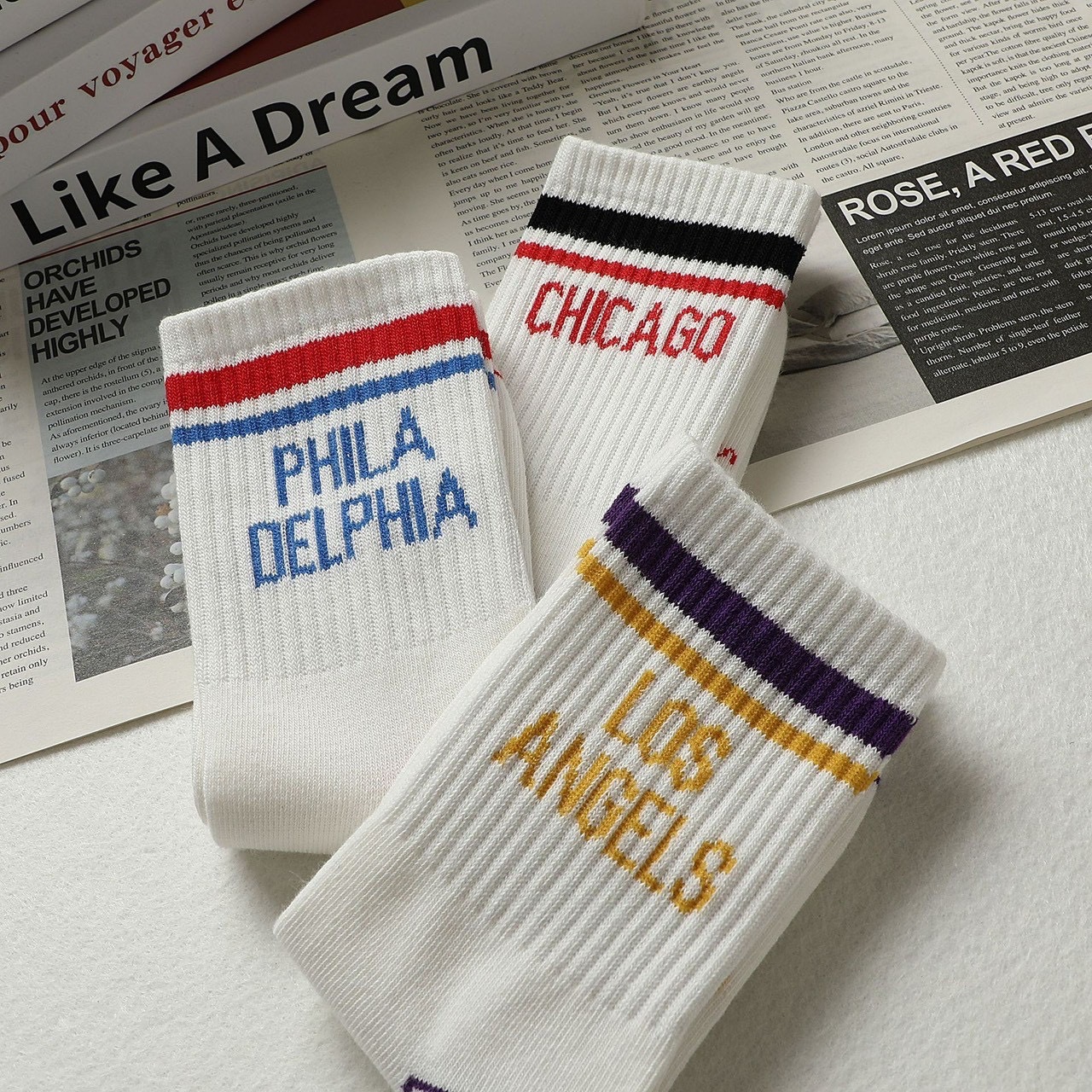 image_1E55F51B-E45E-4BF6-8C77-1D914855D85C_1763121706