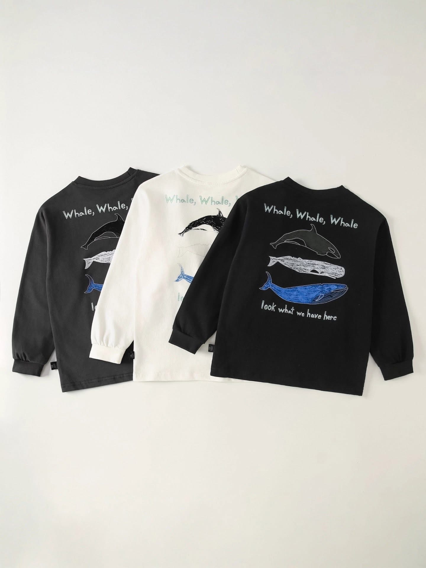 image_55D35E80-AB55-4941-8123-C87661D3351F_1764752938