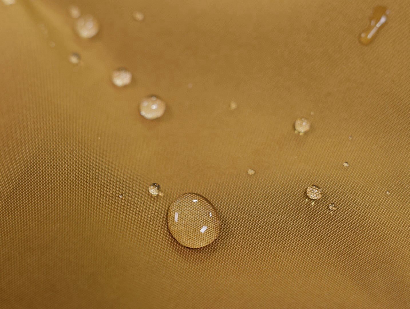 594074784_3824573397676140_8181531095501968002_n