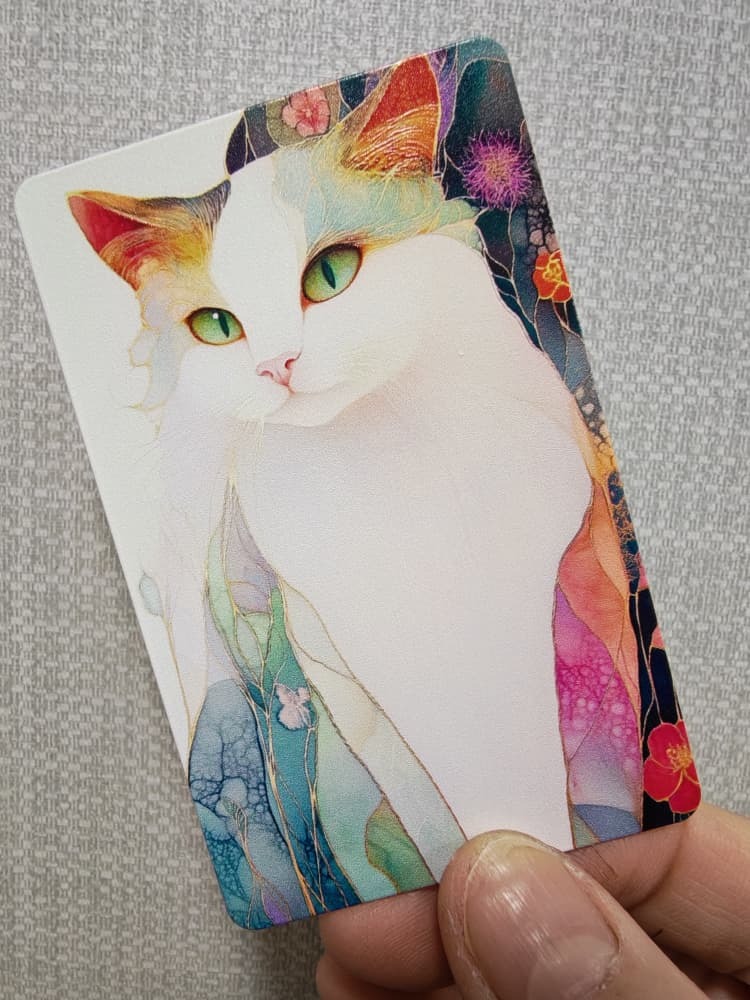 WhatsApp Image 2026-02-08 at 6.39.22 PM