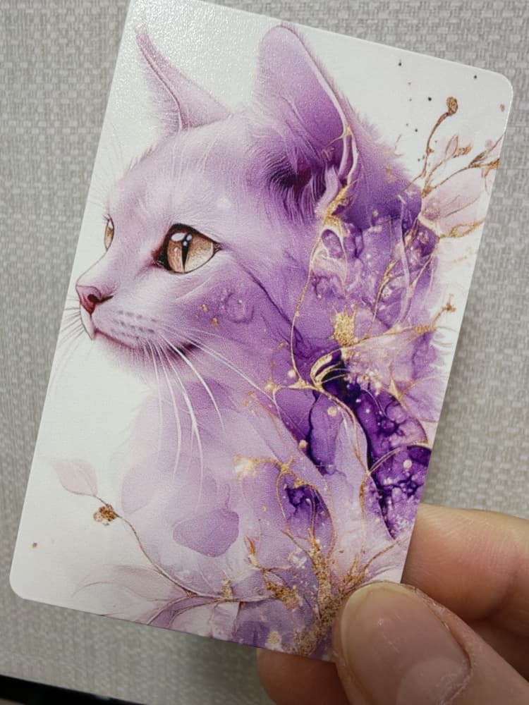 WhatsApp Image 2026-03-04 at 8.44.23 PM