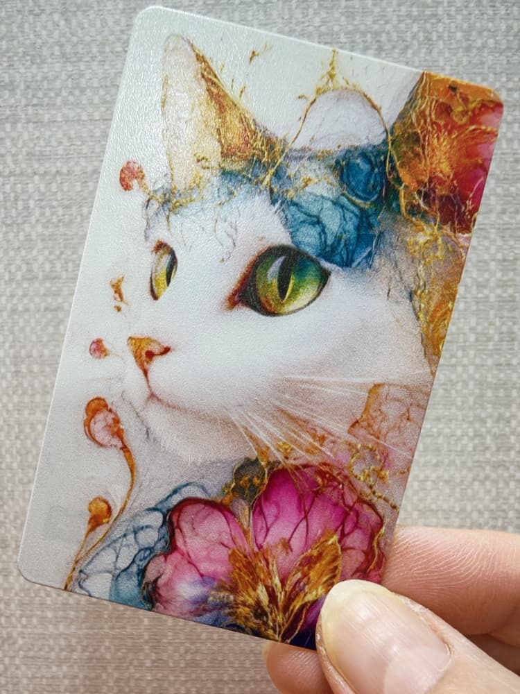 WhatsApp Image 2026-03-07 at 12.34.33 AM