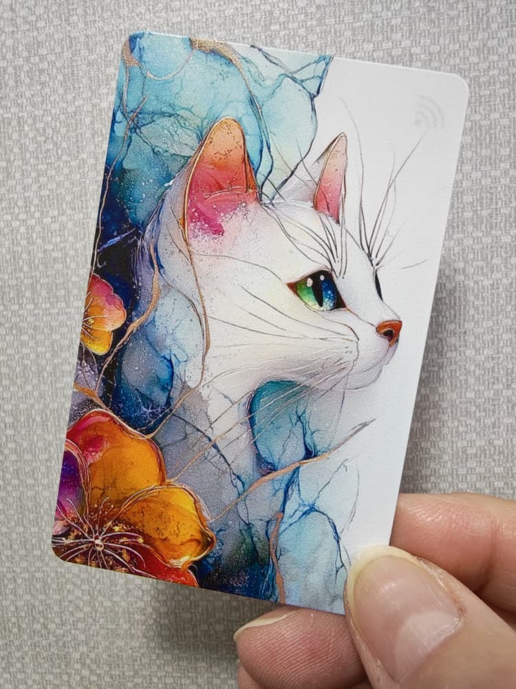 WhatsApp Image 2026-03-07 at 12.34.34 AM