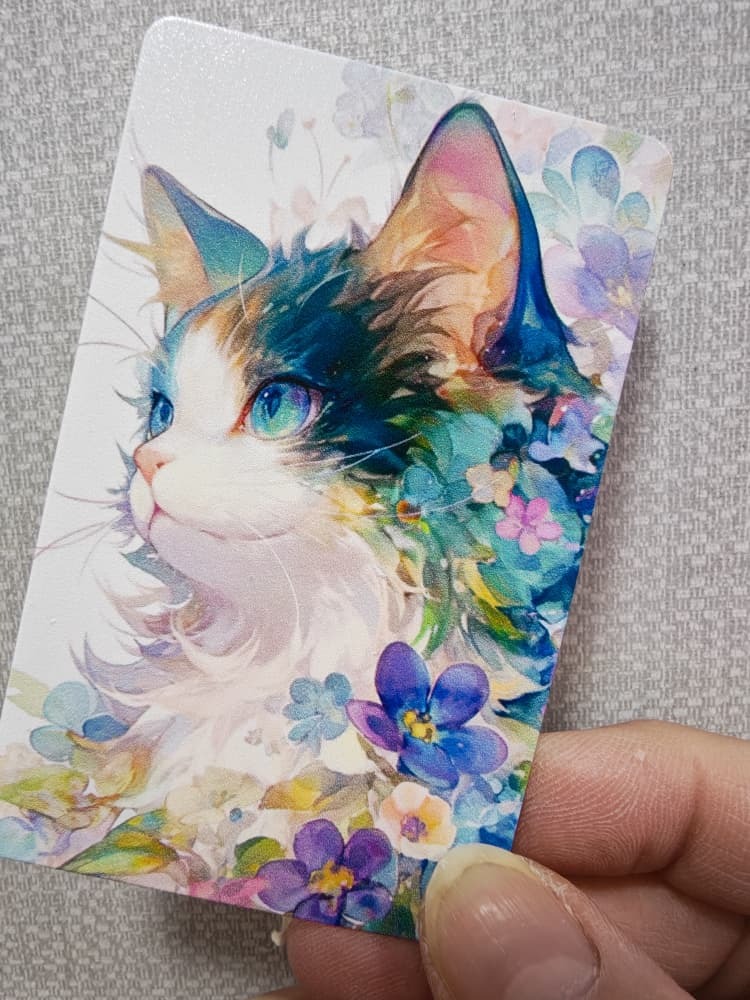 WhatsApp Image 2026-03-01 at 4.30.41 PM