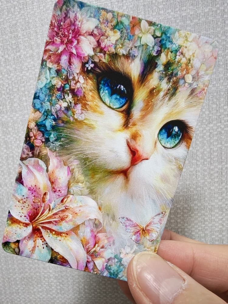 WhatsApp Image 2026-02-01 at 4.58.44 PM