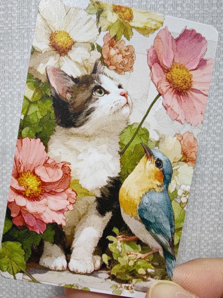 WhatsApp Image 2026-01-06 at 5.47.56 PM