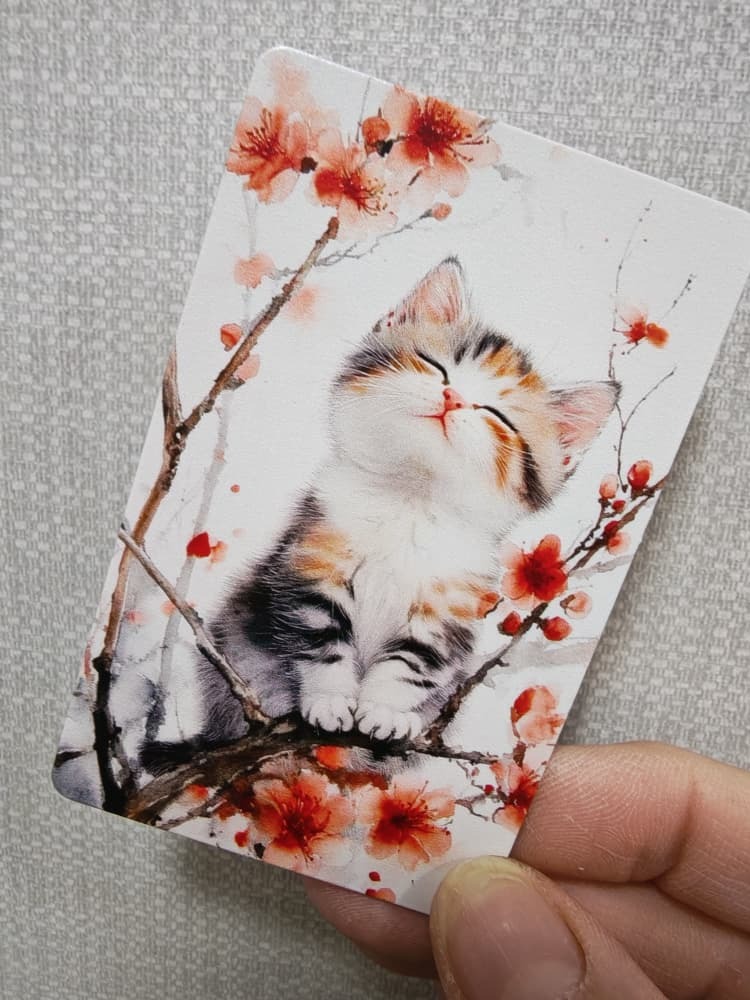 WhatsApp Image 2026-02-05 at 3.59.31 PM